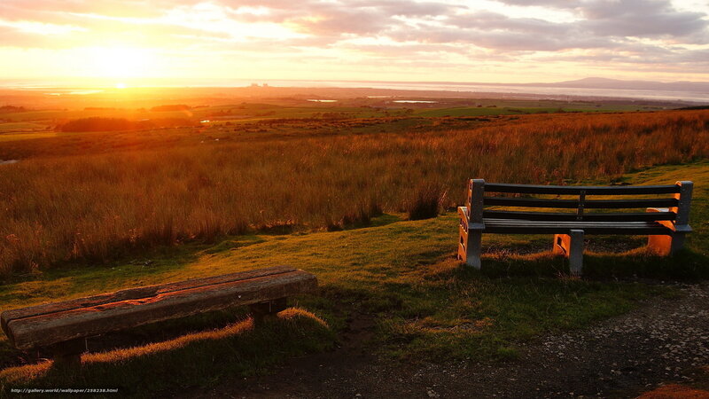 Wooden Benches on Hill