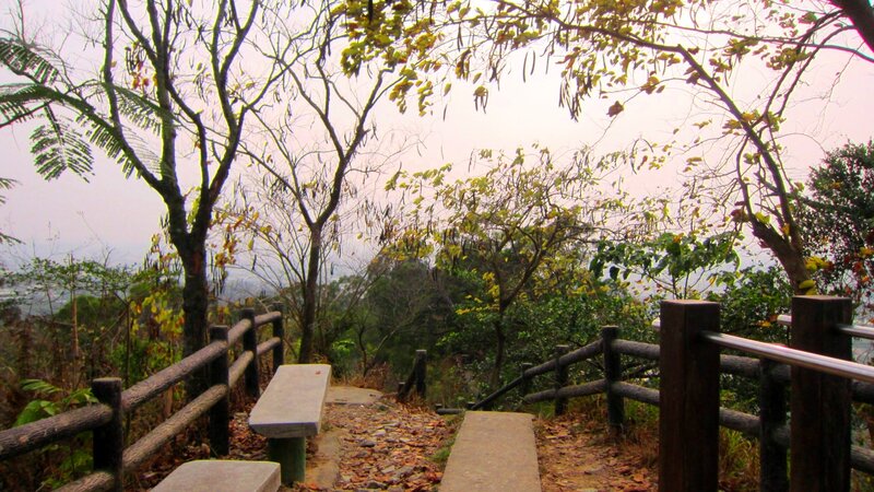 Wooden Benches on Hillside