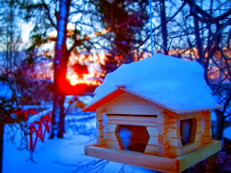 Wooden Bird Feeder — Blue