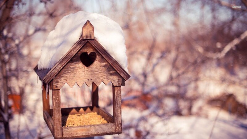 Wooden Bird Feeder — Brown, Serene
