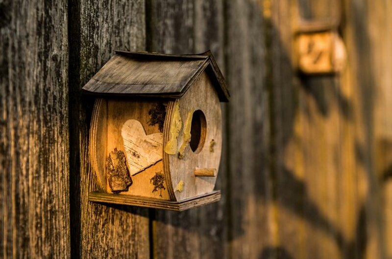 Wooden Birdhouse — Brown, Serene