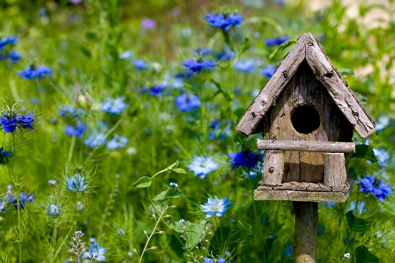 Wooden Birdhouse in Field — Green