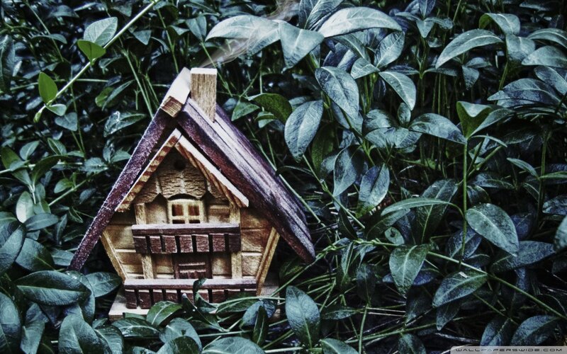 Wooden Birdhouse in Foliage