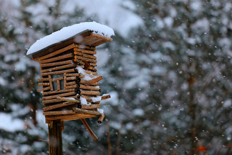 Wooden Birdhouse in Snow