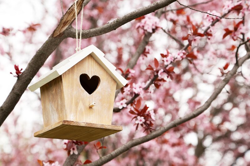 Wooden Birdhouse on Branch