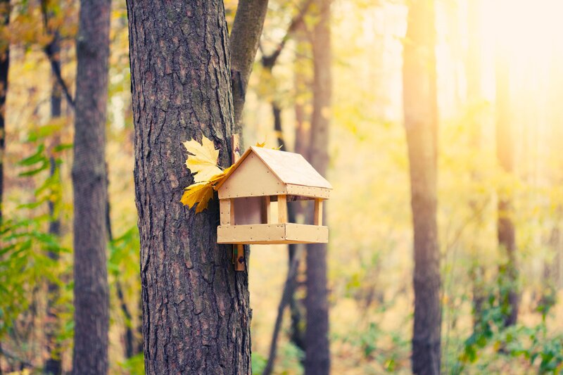 Wooden Birdhouse on Tree — Brown, Serene