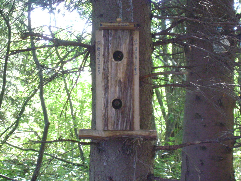 Wooden Birdhouse on Tree — Brown