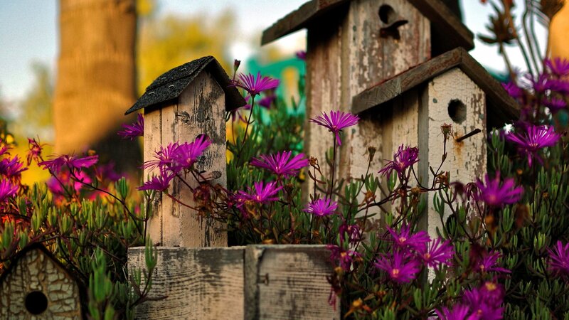 Wooden Birdhouses with Flowers — Purple