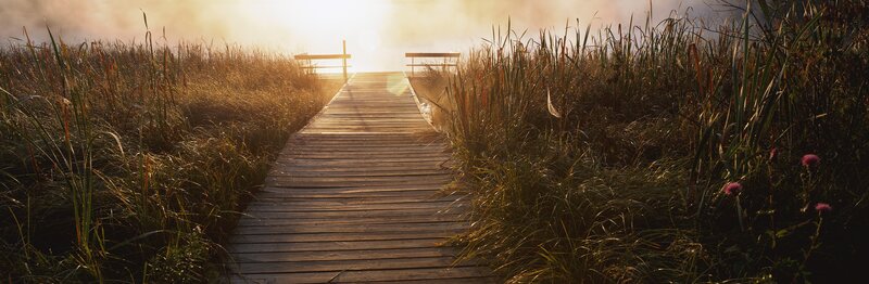 Wooden boardwalk at sunrise