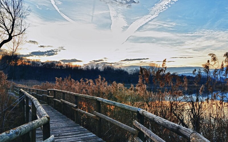Wooden Boardwalk at Sunset — Blue, Serene, Photograph, Reeds