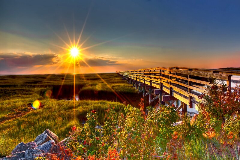 Wooden Boardwalk at Sunset — Green, Dramatic, Photograph, Sun