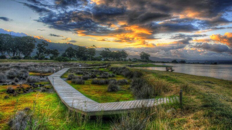 Wooden Boardwalk at Sunset — Green, Dramatic, Photograph