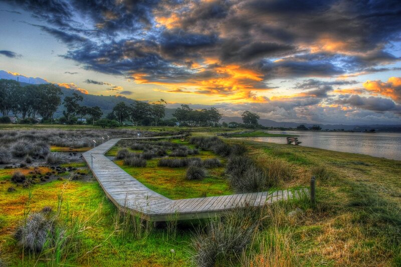 Wooden Boardwalk at Sunset — Green, Dramatic