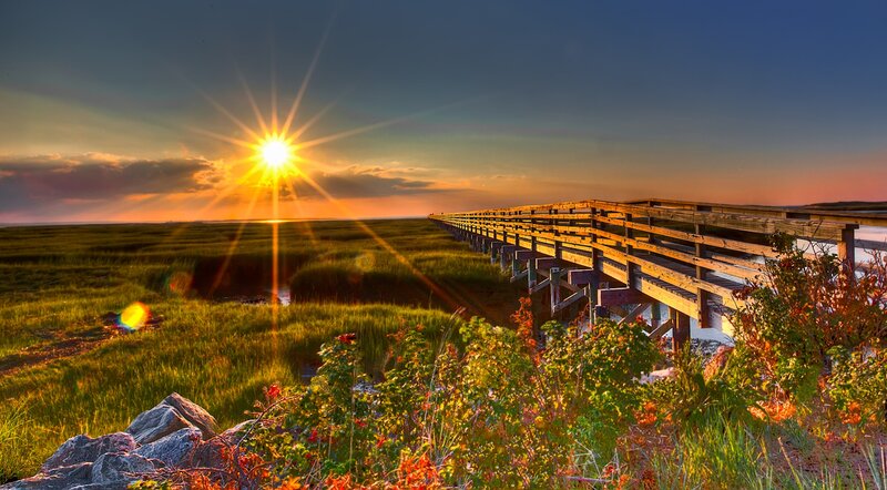 Wooden Boardwalk at Sunset — Green, Serene, Photograph, Sun