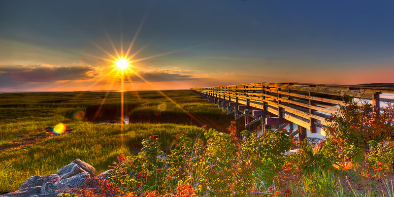 Wooden Boardwalk at Sunset — Green