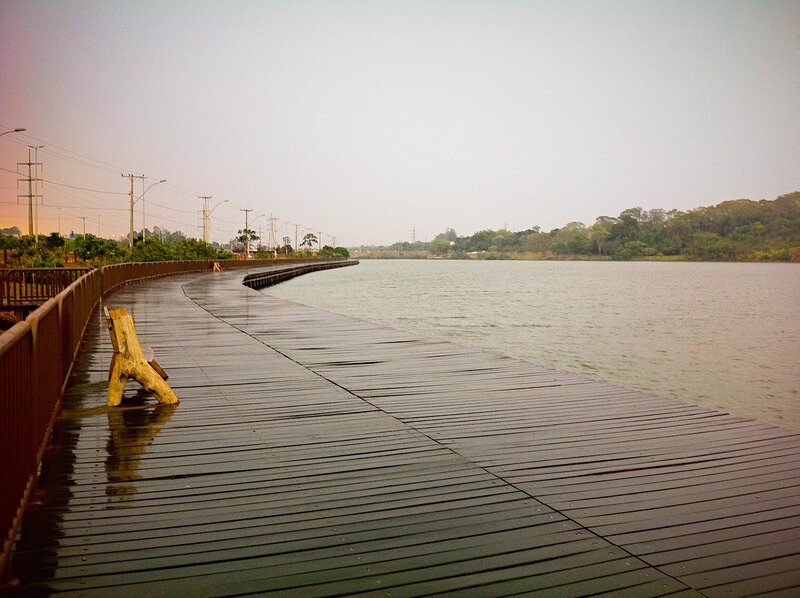 Wooden boardwalk by a lake