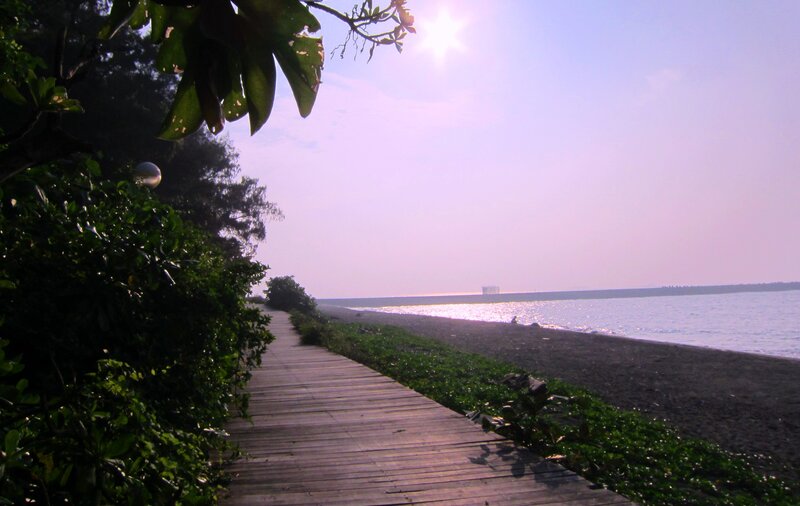 Wooden Boardwalk by Beach