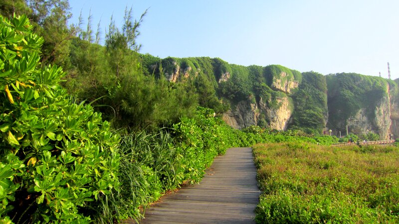 Wooden Boardwalk by Cliff