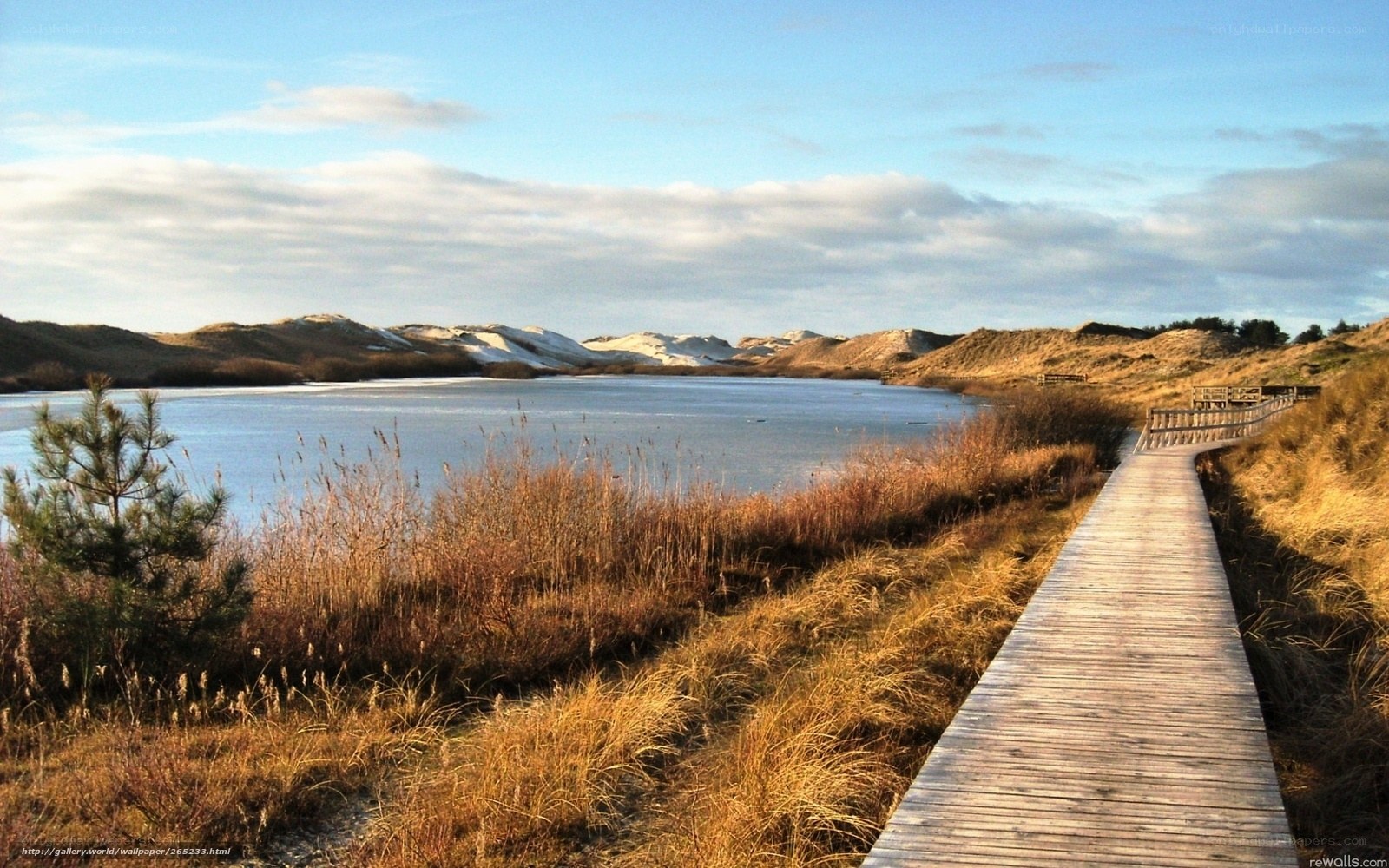 Wooden boardwalk by frozen lake