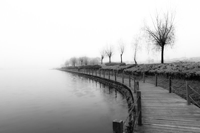 Wooden Boardwalk by Lake — Black