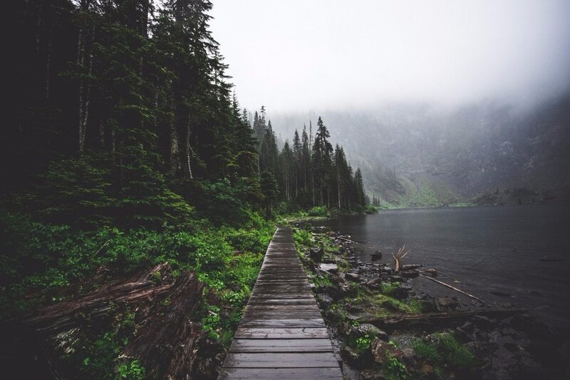 Wooden Boardwalk by Lake — Green, Moody, Serene