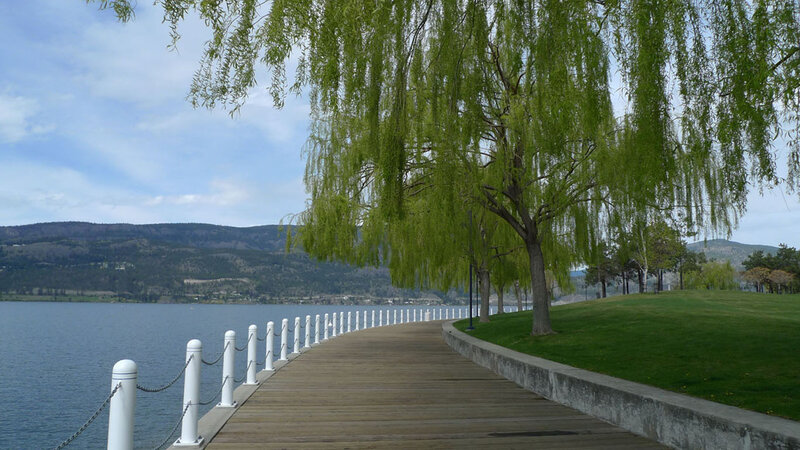 Wooden Boardwalk by Lake — Green, Serene, Afternoon