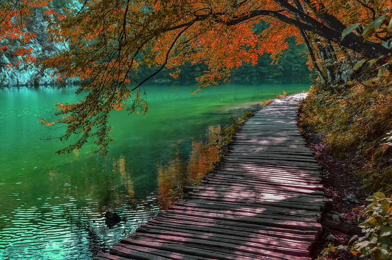 Wooden Boardwalk by Lake — Green, Serene, Autumn