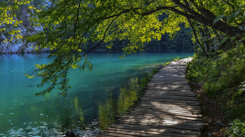 Wooden Boardwalk by Lake — Green, Serene, Morning