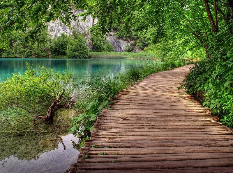 Wooden Boardwalk by Lake — Green