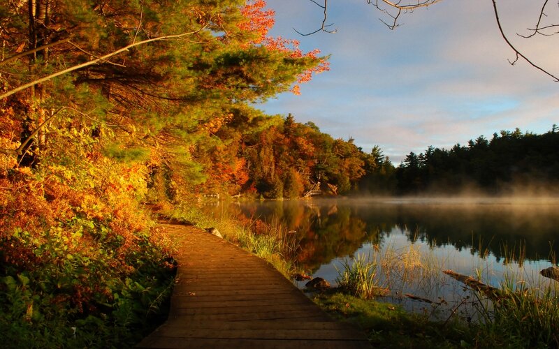 Wooden Boardwalk by Lake