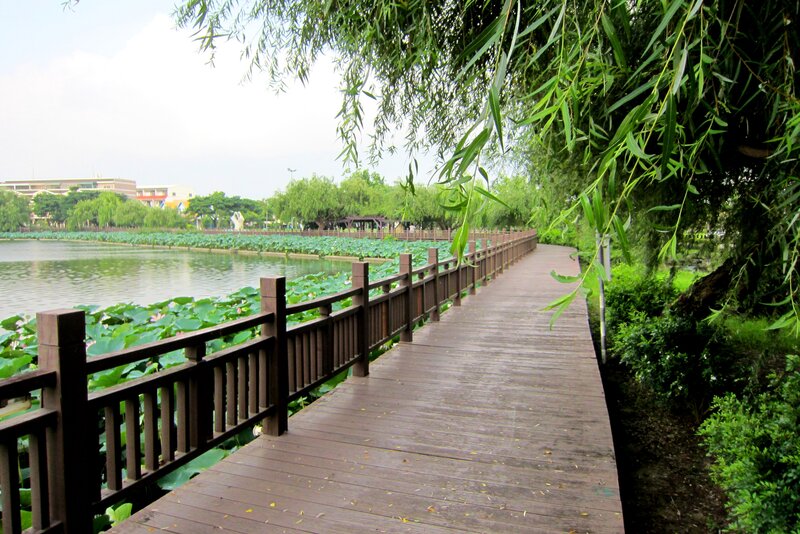 Wooden Boardwalk by Pond