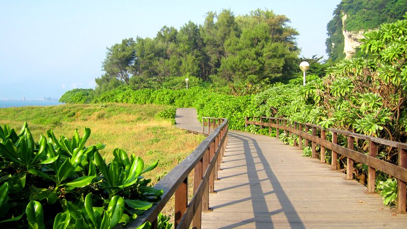 Wooden Boardwalk by Sea — Green