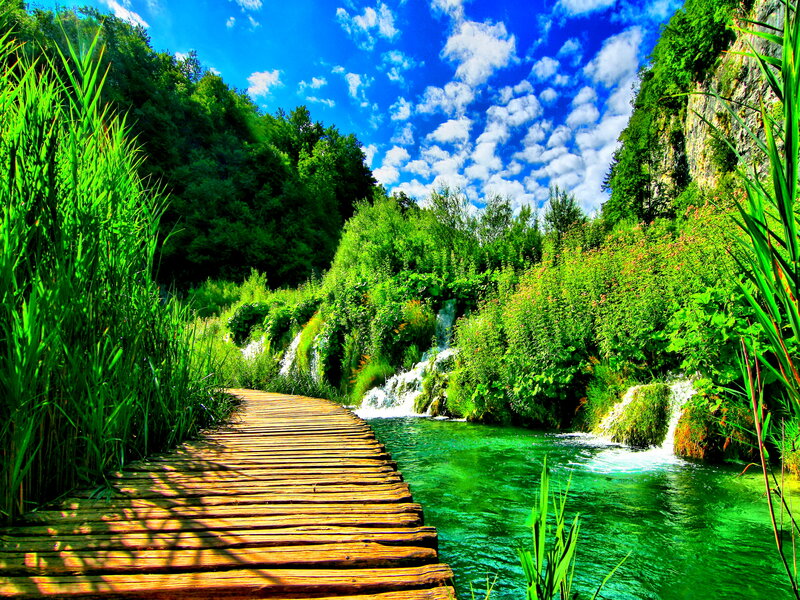 Wooden Boardwalk by Waterfall — Green, Serene, Afternoon, Photograph