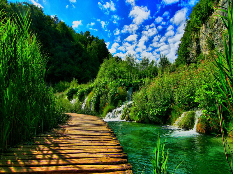 Wooden Boardwalk by Waterfall — Green, Serene