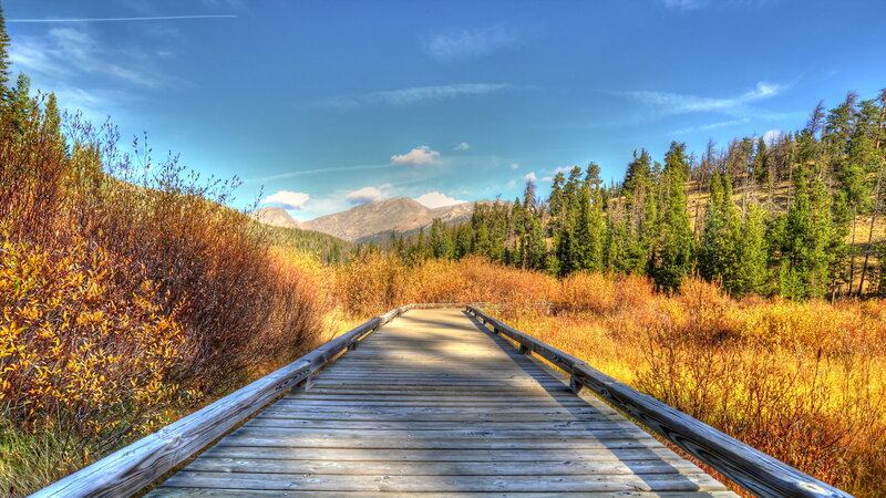 Wooden Boardwalk in Autumn — Blue