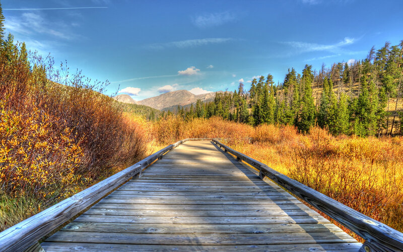 Wooden Boardwalk in Autumn
