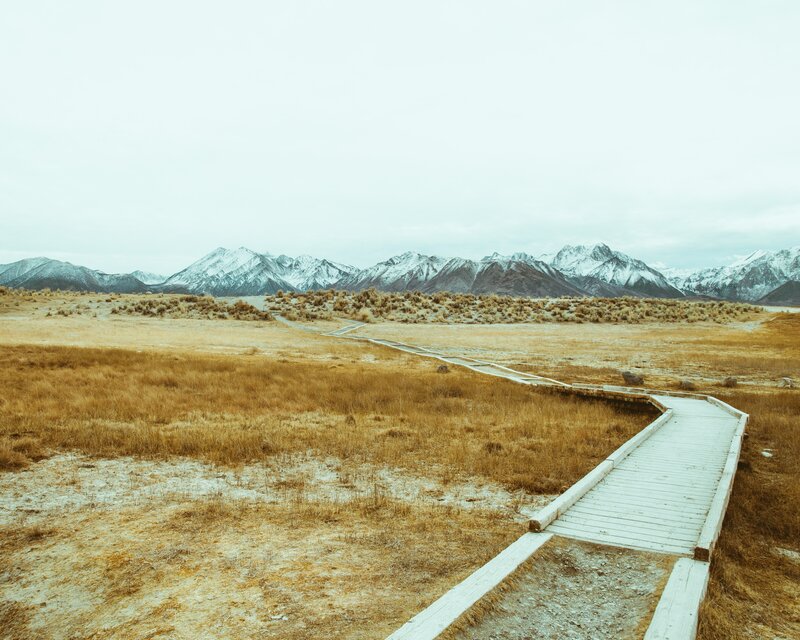 Wooden Boardwalk in Field — Brown, Serene