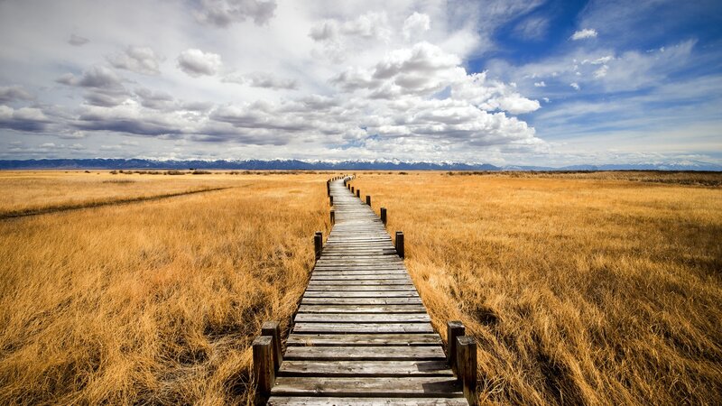 Wooden Boardwalk in Field — Brown
