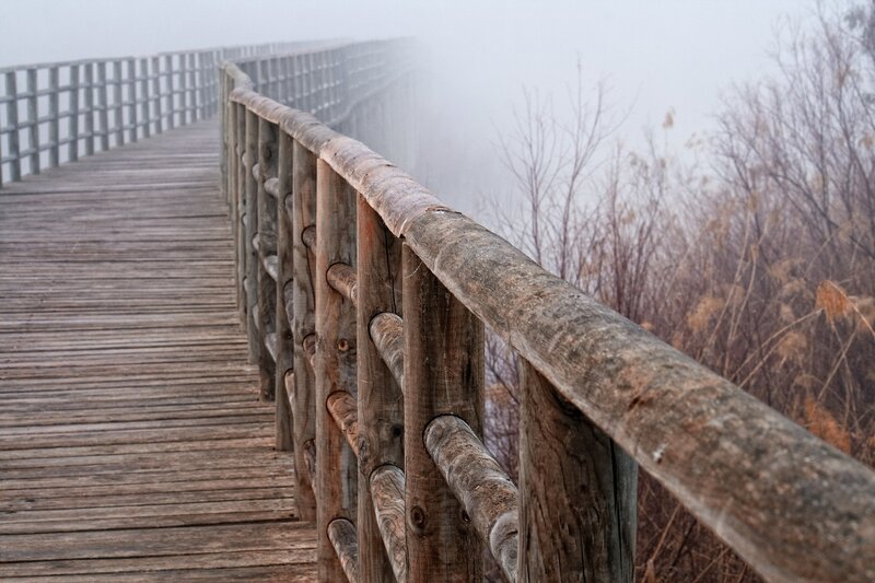 Wooden boardwalk in fog