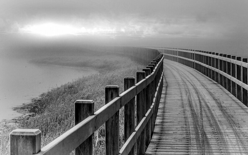 Wooden Boardwalk in Fog — Black