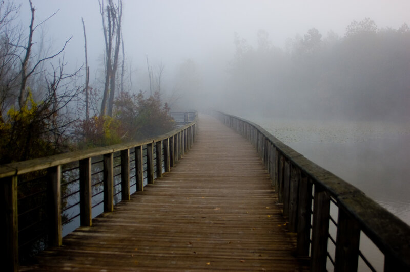 Wooden Boardwalk in Fog — Brown