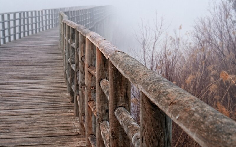 Wooden boardwalk in fog
