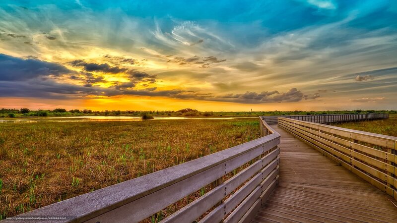 Wooden Boardwalk in Marsh — Blue, Dramatic