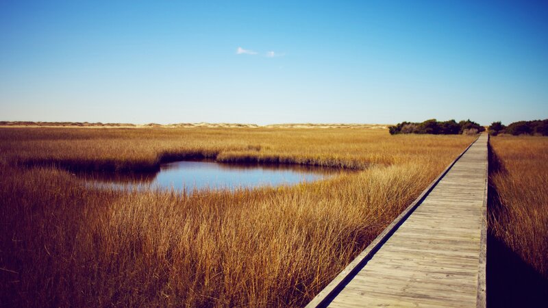 Wooden Boardwalk in Marsh — Blue, Serene, Afternoon, Photograph