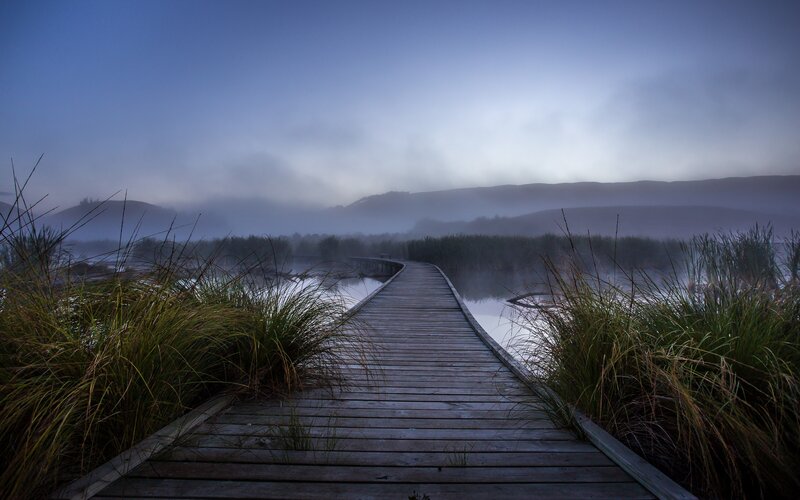 Wooden Boardwalk in Marsh — Blue, Serene, Morning, Photograph, Marsh Grass