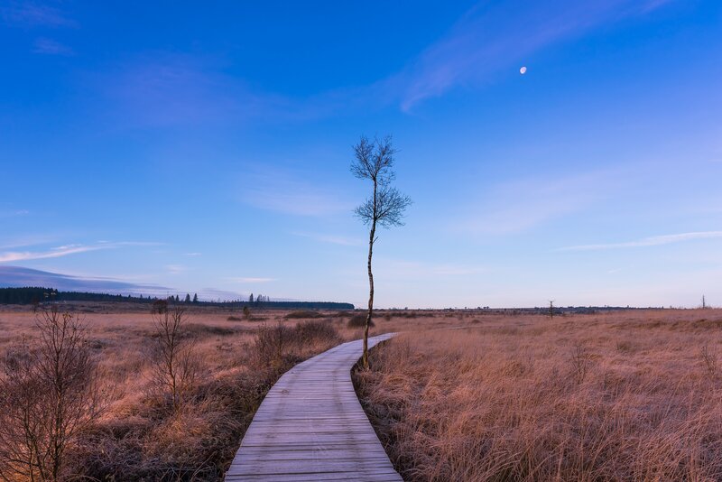 Wooden Boardwalk in Marsh — Blue, Serene, Sunset