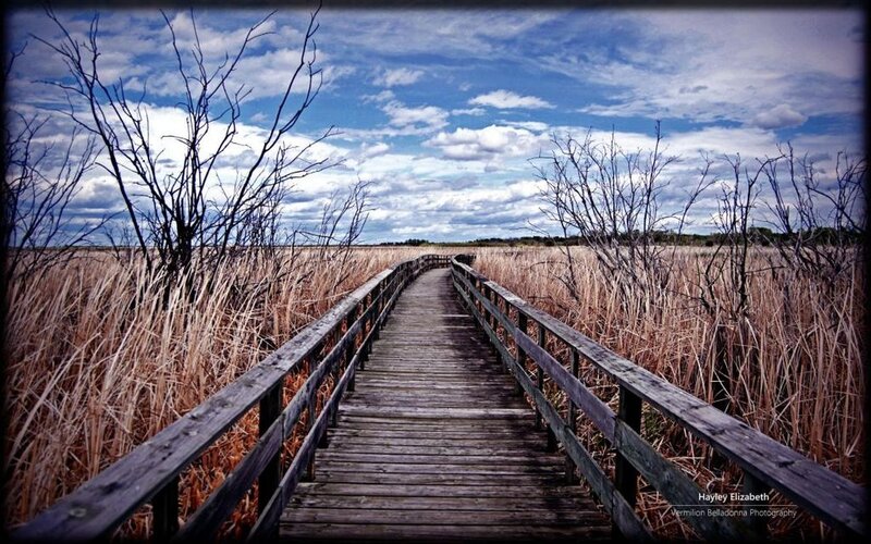 Wooden Boardwalk in Marsh — Blue, Serene