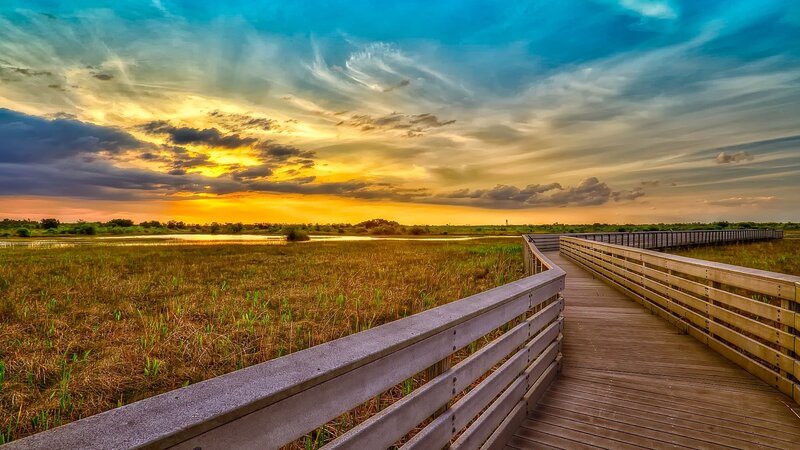 Wooden Boardwalk in Marsh — Blue