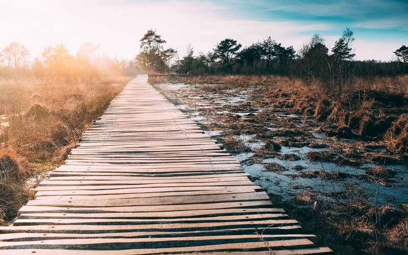 Wooden Boardwalk in Marsh — Brown, Serene, Sunset