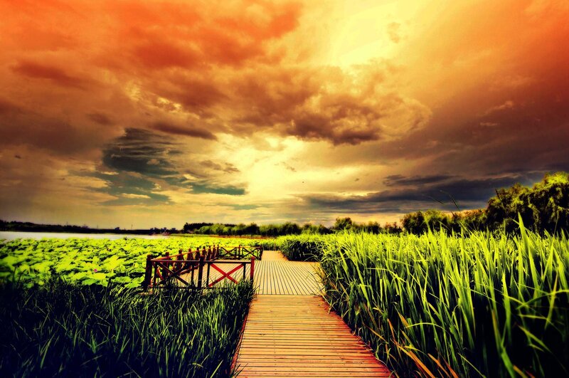 Wooden Boardwalk in Marsh — Orange, Dramatic, Sunset, Photograph